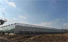 空氣源熱泵受農業大棚歡迎的采暖設備