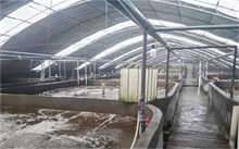 空氣能助力水產養殖，溫控精準效益高