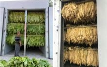 智能控溫+余熱回收：紐恩泰熱泵烘干機技術助力工農業綠色升級