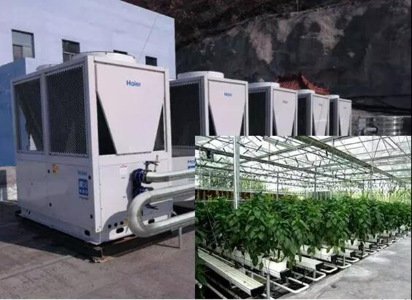 用上海爾空氣能取暖天津蔬菜大棚越冬環(huán)保又經(jīng)濟！