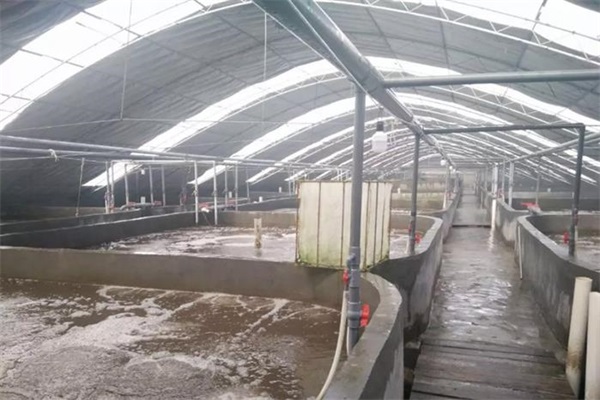 水產養殖空氣能熱泵機組用什么品牌好