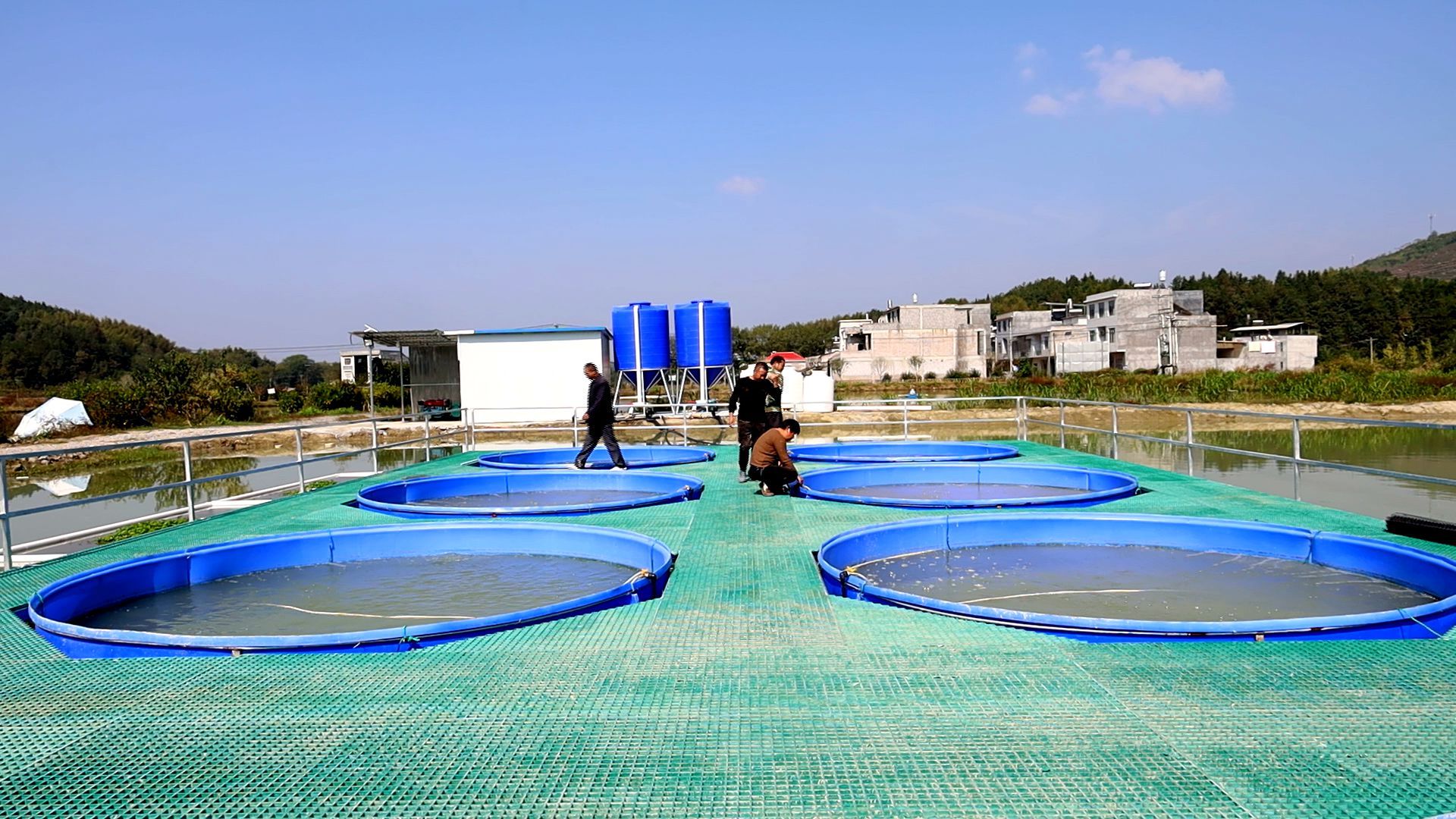 為什么水產養殖都選空氣能