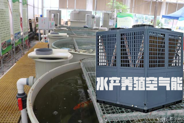 為什么水產養殖都選空氣能