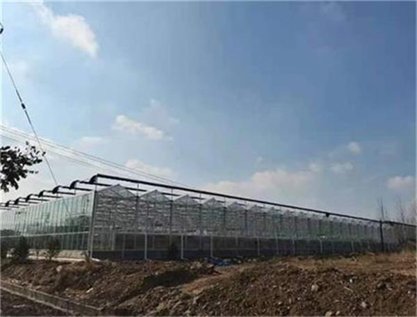 空氣源熱泵受農業大棚歡迎的采暖設備