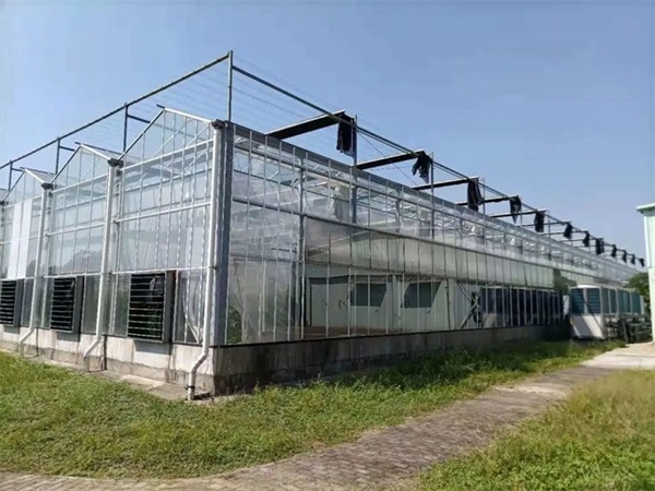 節能熱泵烘干機組用于農產品生產