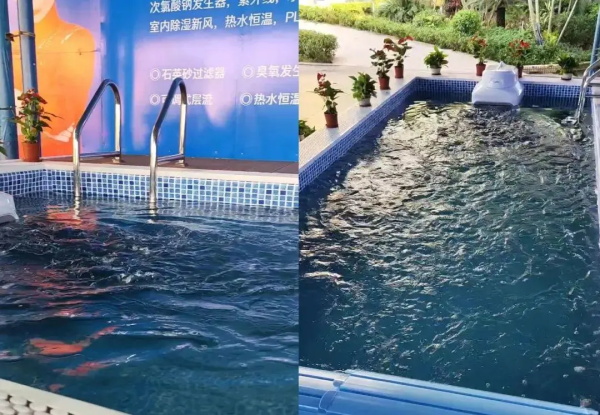 游泳池用恒溫泳池熱泵效果如何？