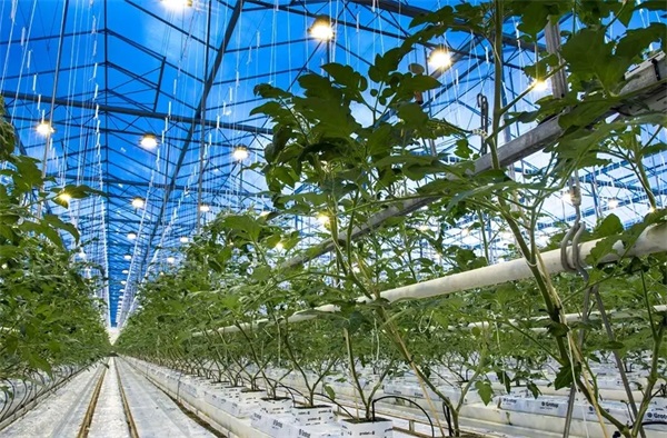 空氣能熱泵熱水機組的應用場景