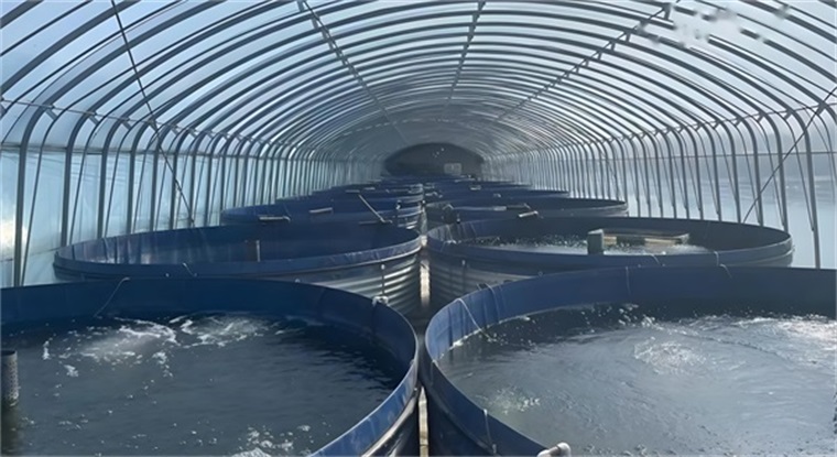 水產養殖空氣能熱泵：效果究竟如何？