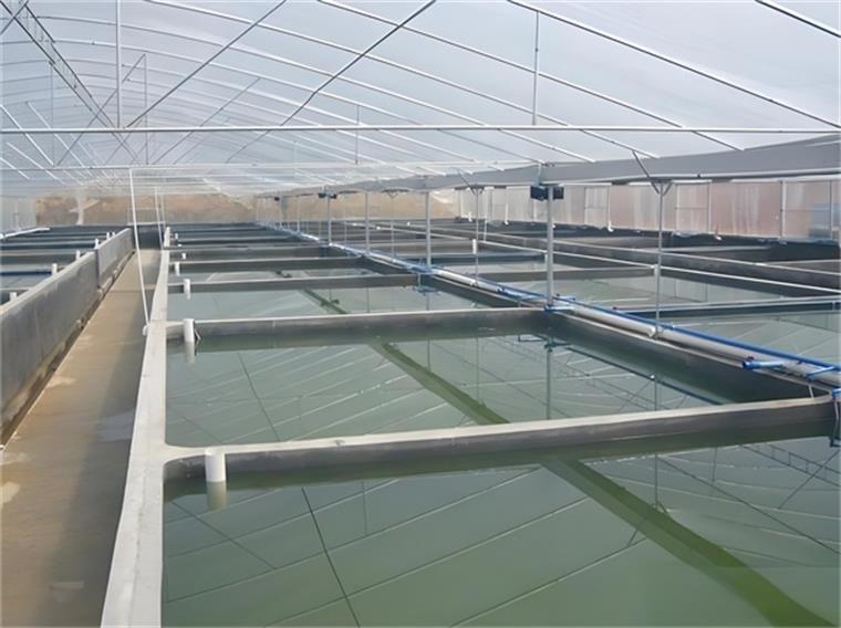 水產企業如何借助空氣能打造優質魚蝦養殖環境