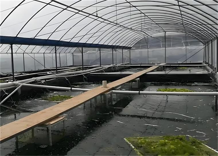 空氣能助力水產養殖，溫控精準效益高